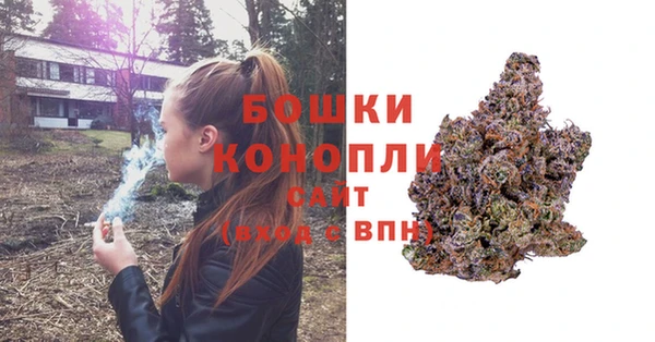 эйфоретик Покачи