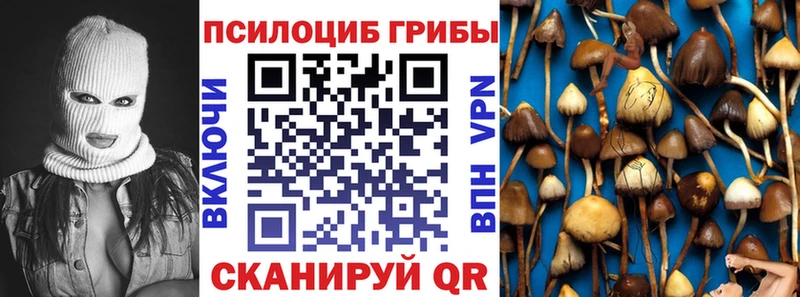 Галлюциногенные грибы мицелий  Пермь 
